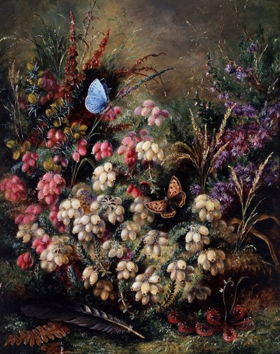  da Albert Durer Lucas