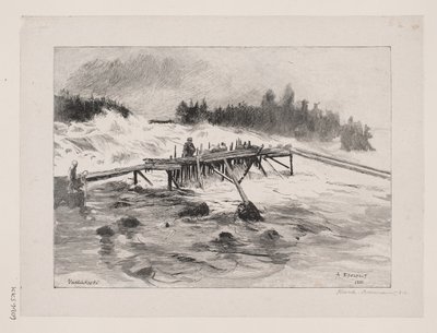 Una cascata. Vallinkoski da Albert Gustaf Aristides Edelfelt