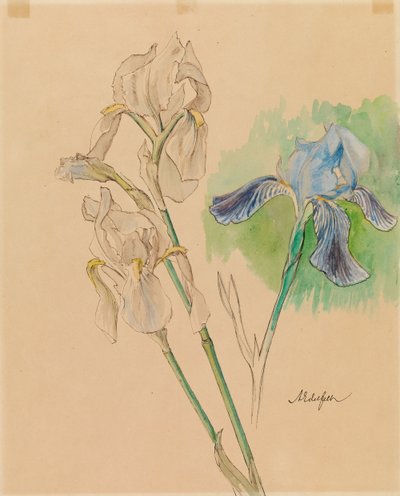  da Albert Edelfelt