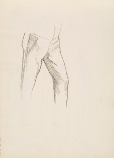 La parte inferiore del corpo maschile da Albert Edelfelt