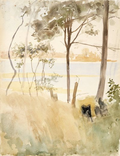  da Albert Edelfelt