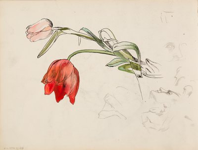 Tulipani, documenti di ricerca sul viso da Albert Edelfelt