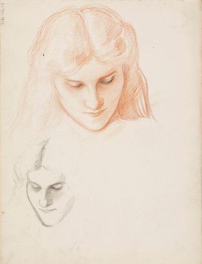 Il volto di una donna da Albert Edelfelt