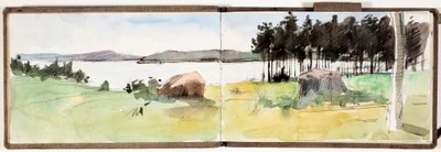 Senza titolo da Albert Edelfelt