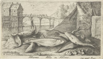 Alburni su una riva del fiume da Albert Flamen