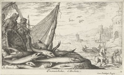 Acciughe vicino a un cesto e una rete da pesca (serie Pesci e altri animali marini - terza serie di acqua salata) da Albert Flamen
