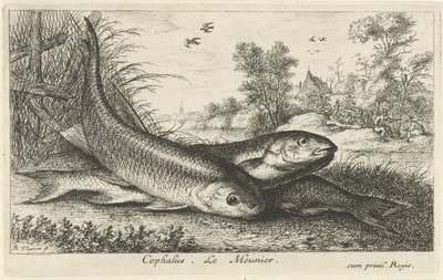Tre cavedani su una riva (Cephalus. Le Meunier.) (Pesci e altri animali marini - prima serie) (Diverses Especes de Poissons d