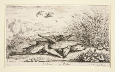 Epelanus, L da Albert Flamen