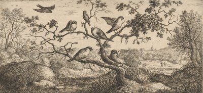 Ficedula, Piuoyne Il Ciuffolotto: Libro degli Uccelli, 1655-1660 da Albert Flamen
