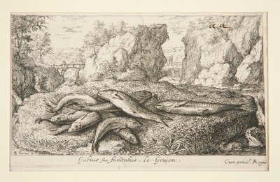 Gabius siue fundulus. Le Goujon da Albert Flamen