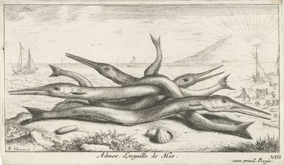 Pesci sulla spiaggia da Albert Flamen