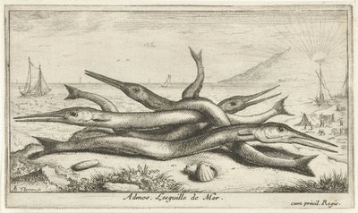 Pesci sulla spiaggia (serie: Pesci e altri animali marini - acqua salata, terza serie) da Albert Flamen