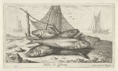 Aringhe vicino a una rete da pesca (serie: Pesci e altri animali marini - seconda serie) da Albert Flamen