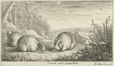 Roditori da Albert Flamen
