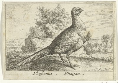 Paesaggio con fagiano da Albert Flamen