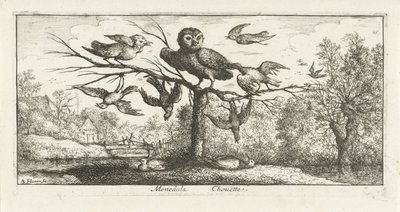 Paesaggio con gufo tra altri uccelli da Albert Flamen