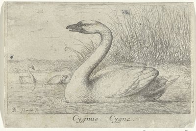 Paesaggio con cigno da Albert Flamen