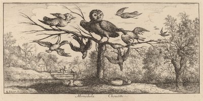 Monedula, il gufo da Albert Flamen