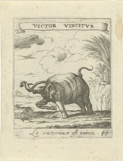 Elefante e serpente (serie Emblemi morali d