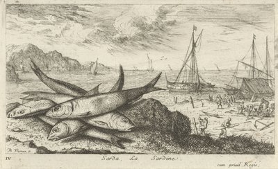 Sardine sulla spiaggia da Albert Flamen