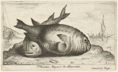 Due focene sulla spiaggia da Albert Flamen