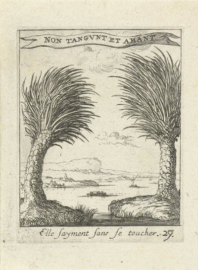Due palme, separate (Emblemi d