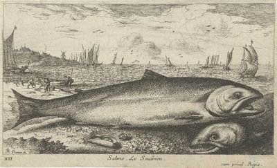 Due salmoni sulla spiaggia da Albert Flamen