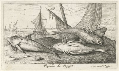 Quattro triglie rosse sulla spiaggia da Albert Flamen