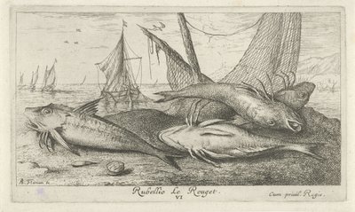Quattro triglie rosse sulla spiaggia (serie Vissen en andere zeedieren - zoutwater tweede reeks, Poissons de mer) da Albert Flamen