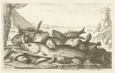 Pesca con granchio eremita da Albert Flamen