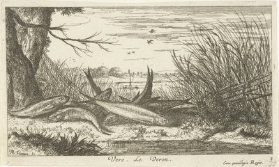 Cavedani su una riva del fiume da Albert Flamen
