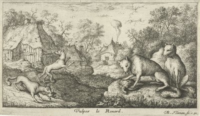 Volpi da Albert Flamen