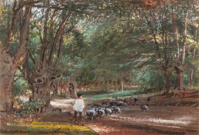 Burnham Beeches da Albert Goodwin