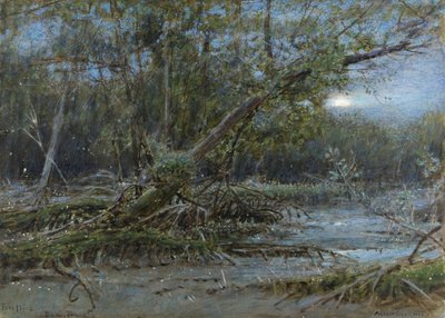 Lucciole, Demerera, c.1902 da Albert Goodwin
