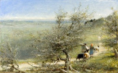Firenze dalle colline vicino a Fiesole da Albert Goodwin