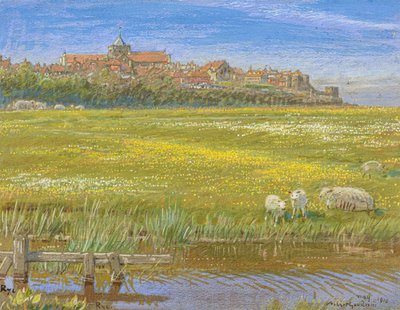 Segale da Albert Goodwin