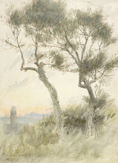 Studio di due alberi da Albert Goodwin