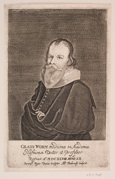 Ole Worm da Albert Haelwegh