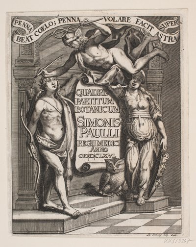 Frontespizio di Simon Paulli, "Quadripartitum Botanicum", 1667 da Albert Haelwegh