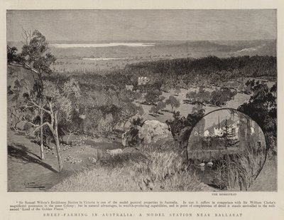 Allevamento di pecore in Australia, una stazione modello vicino a Ballarat da Albert Henry Fullwood