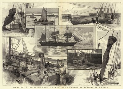 Caccia alla balena nel Pacifico meridionale, operazioni a bordo di una baleniera australiana da Albert Henry Fullwood