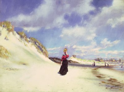 Spiaggia di Hampton da Albert Horstmeier