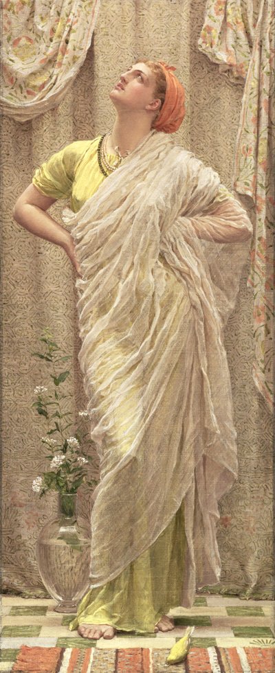 Uccelli dell
