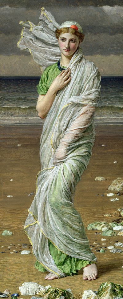 Conchiglie da Albert Joseph Moore
