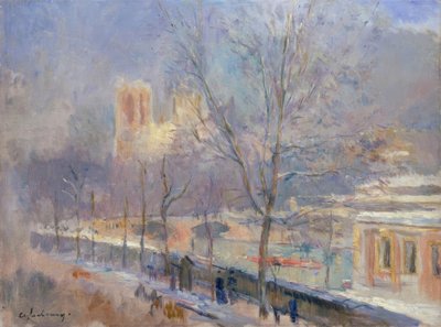 Notre-Dame de Paris vista dal quai de la Tournelle da Albert Lebourg