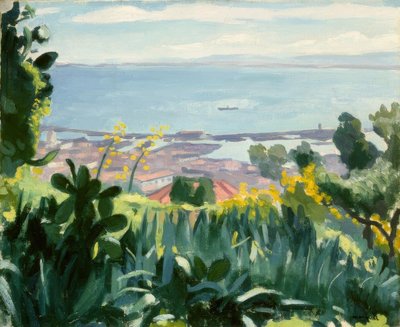 Algeri - Vista dalle alture di Mustapha da Albert Marquet
