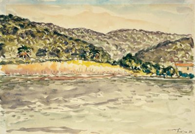 Paesaggio Costiero presso Île de Port Cros da Albert Marquet