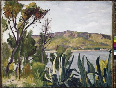 Paesaggio con agave da Albert Marquet