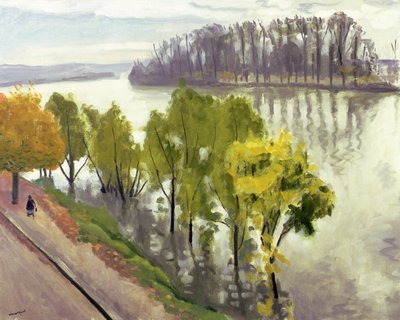 La Senna a La Frette in Autunno da Albert Marquet