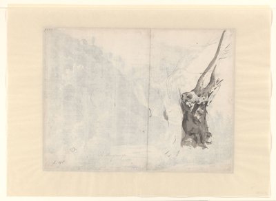 Schizzo di un albero da Albert Meyering